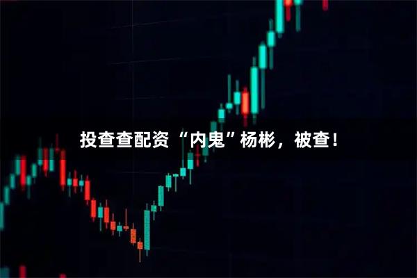 投查查配资 “内鬼”杨彬，被查！