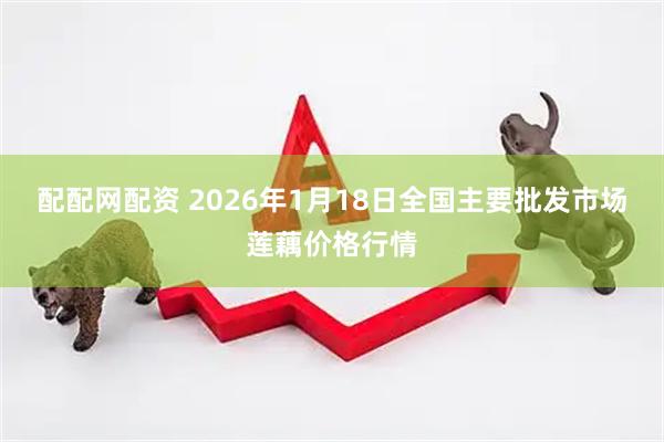 配配网配资 2026年1月18日全国主要批发市场莲藕价格行情