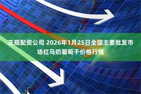 正规配资公司 2026年1月25日全国主要批发市场红马奶葡萄干价格行情