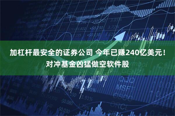 加杠杆最安全的证券公司 今年已赚240亿美元！对冲基金凶猛做空软件股